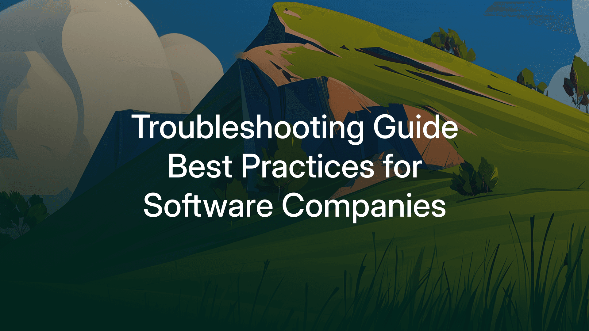 Troubleshooting Guide Best Practices for Software Companies